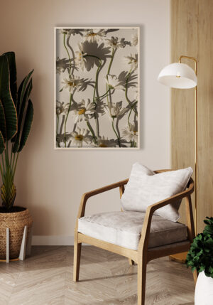 Elegantes margaritas con sombras sutiles