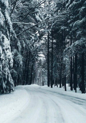 Camino forestal nevado en invierno