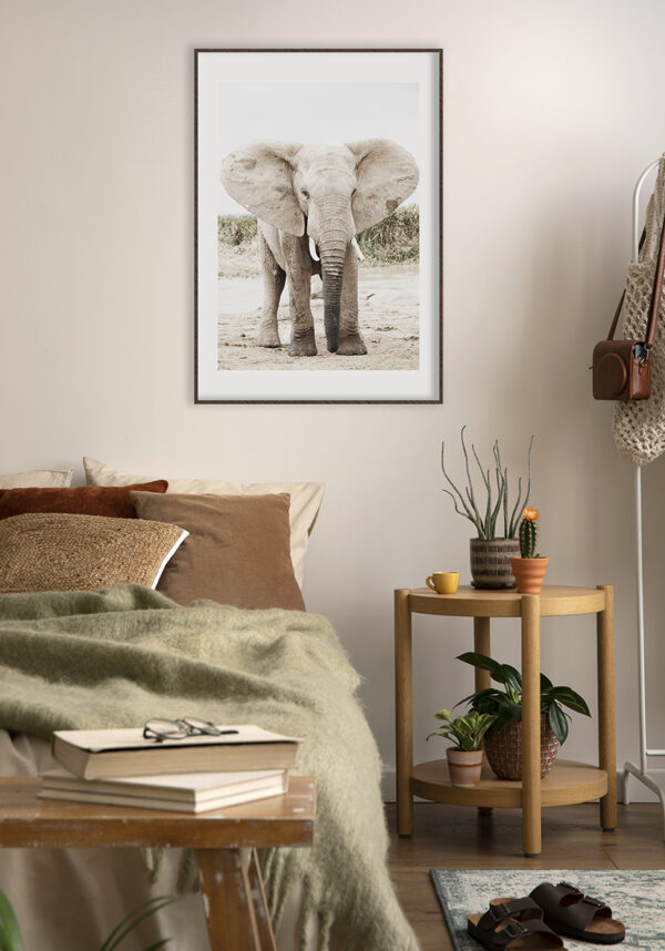 Retrato majestuoso de un elefante