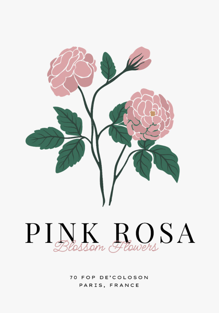 Diseño elegante de rosa rosa