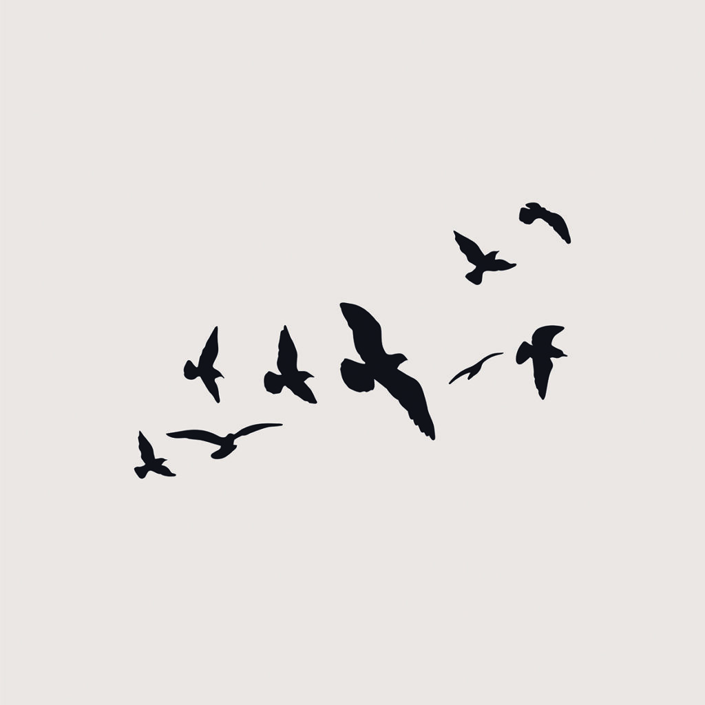 Ilustración minimalista de aves en vuelo