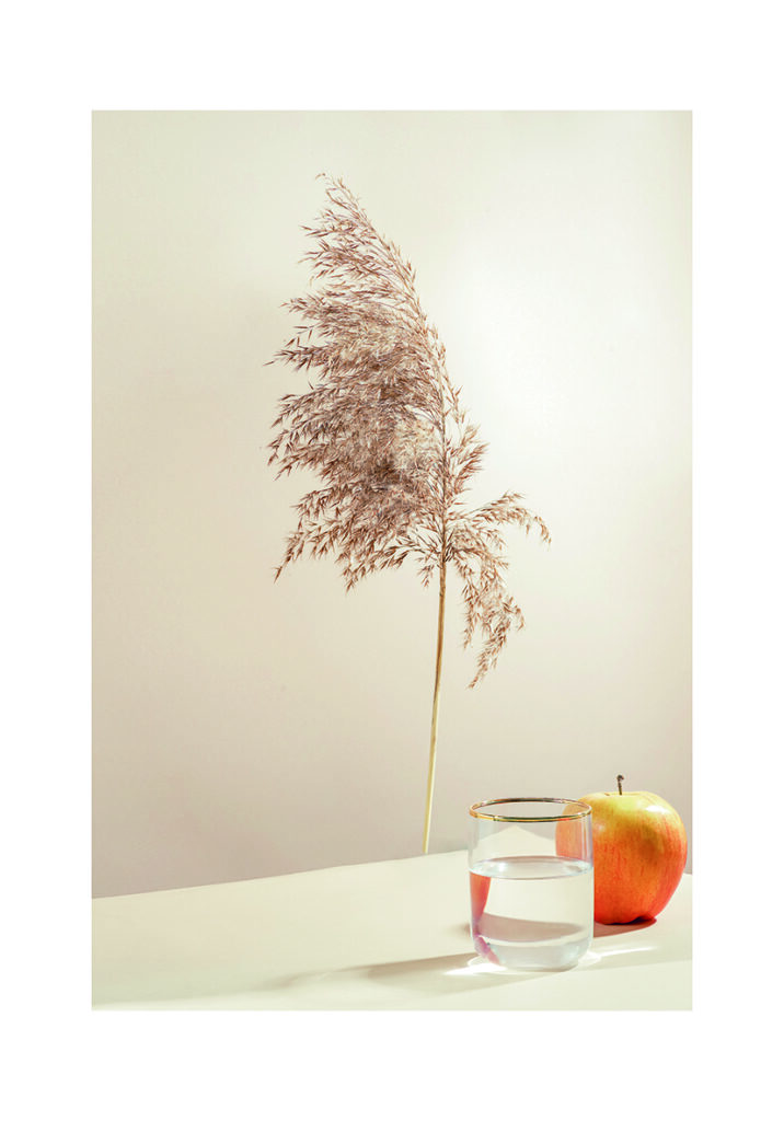 Naturaleza muerta minimalista con manzana