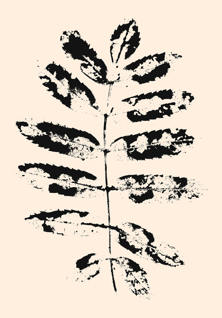 Impresión botánica minimalista