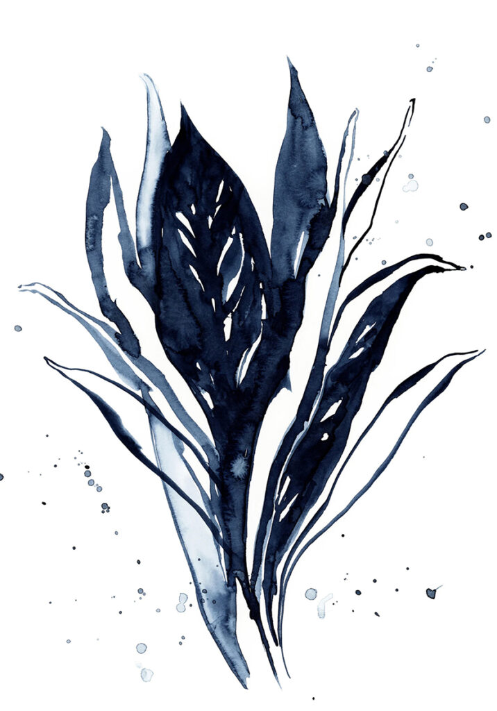 Ilustración botánica abstracta en acuarela