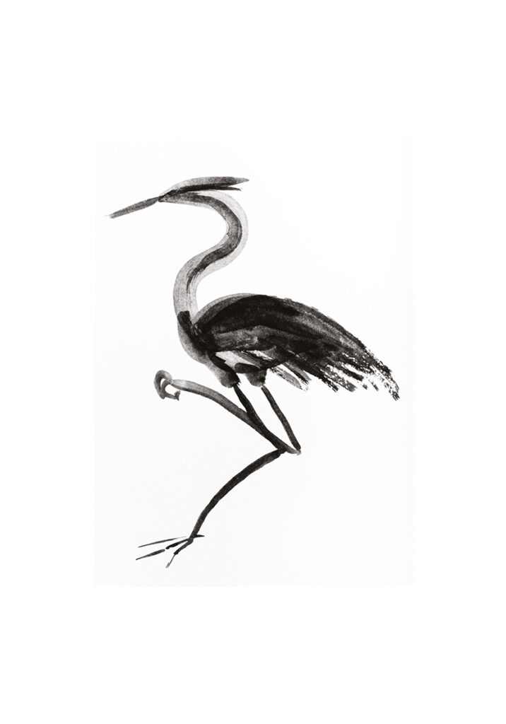 Ilustración elegante de garza en tinta