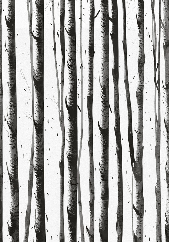Bosque minimalista de abedules en monocromo