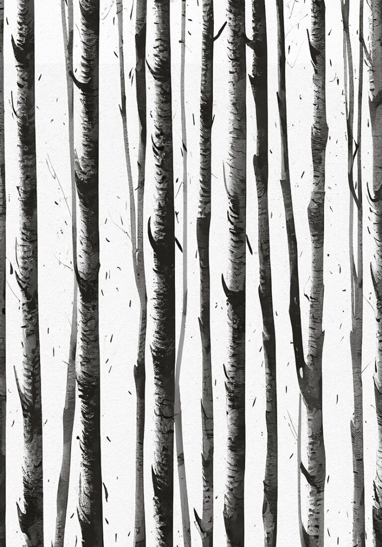 Bosque minimalista de abedules en monocromo