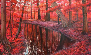 Reflejo del Bosque Rojo en un Arroyo