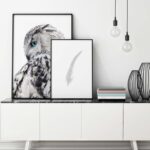 Conjunto de láminas de búho y pluma artístico