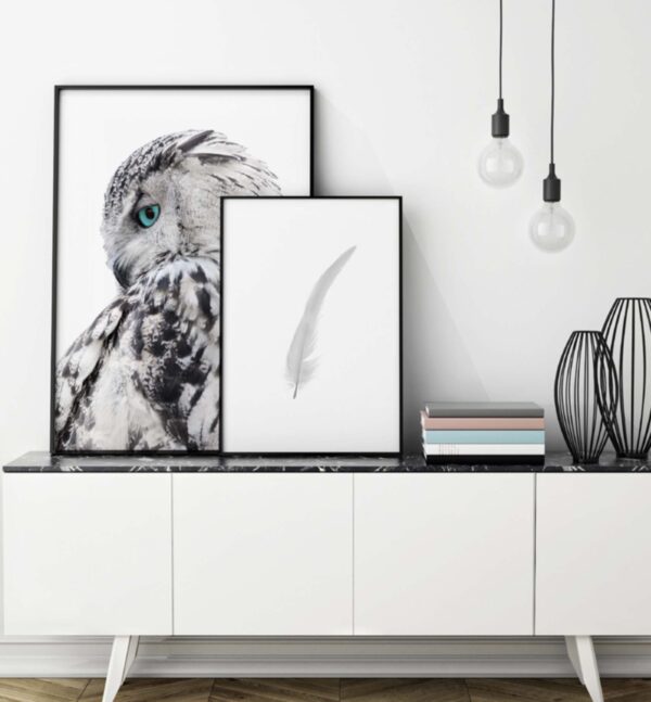 Conjunto de láminas de búho y pluma artístico