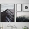 Arte fotográfico natural para decoración moderna