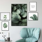 Colección de arte gráfico minimalista con temática natural