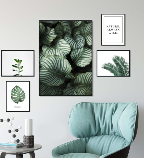 Colección de arte gráfico minimalista con temática natural
