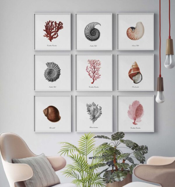 Láminas náuticas con marco para decoración del hogar