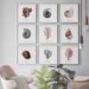 Láminas náuticas con marco para decoración del hogar