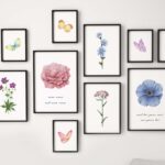 Colección de láminas de botánica y mariposas