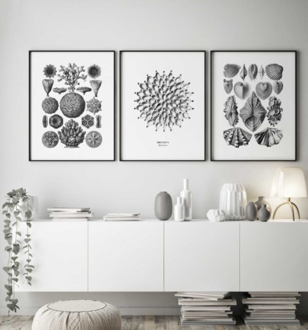 Arte gráfico monocromático con temática natural