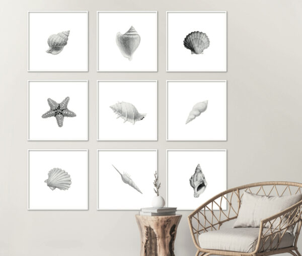 Láminas minimalistas en blanco y negro con temática marina