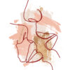 Ilustración lineal abstracta con detalles dorados