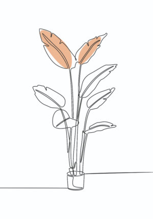 Diseño botánico lineal minimalista
