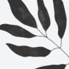 Arte botánico minimalista en monocromo