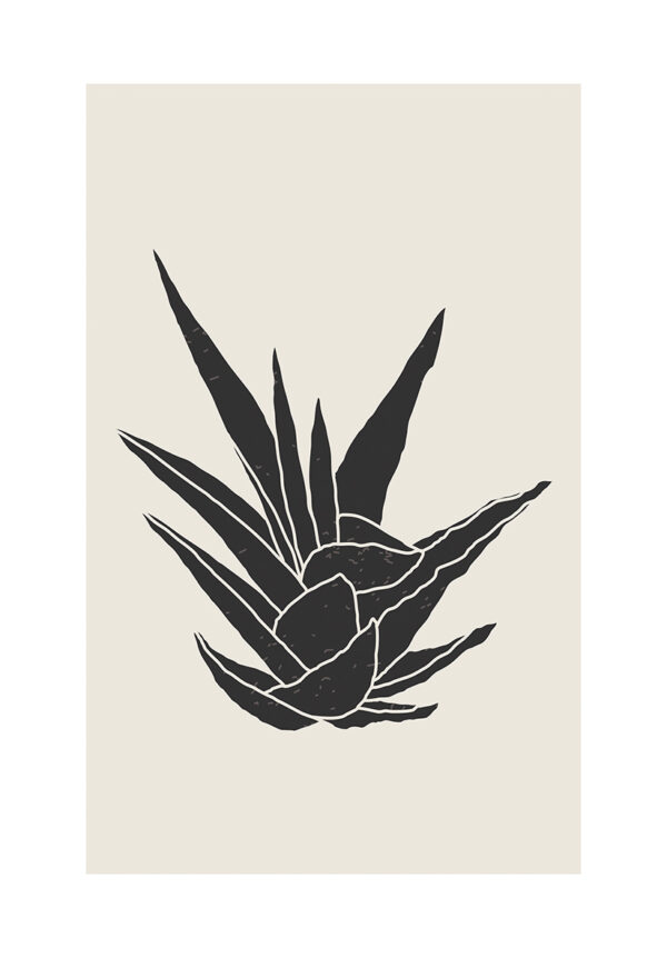 Ilustración minimalista de aloe vera en negro