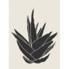 Diseño minimalista de planta de aloe en negro