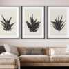 Diseño minimalista de planta de aloe en negro