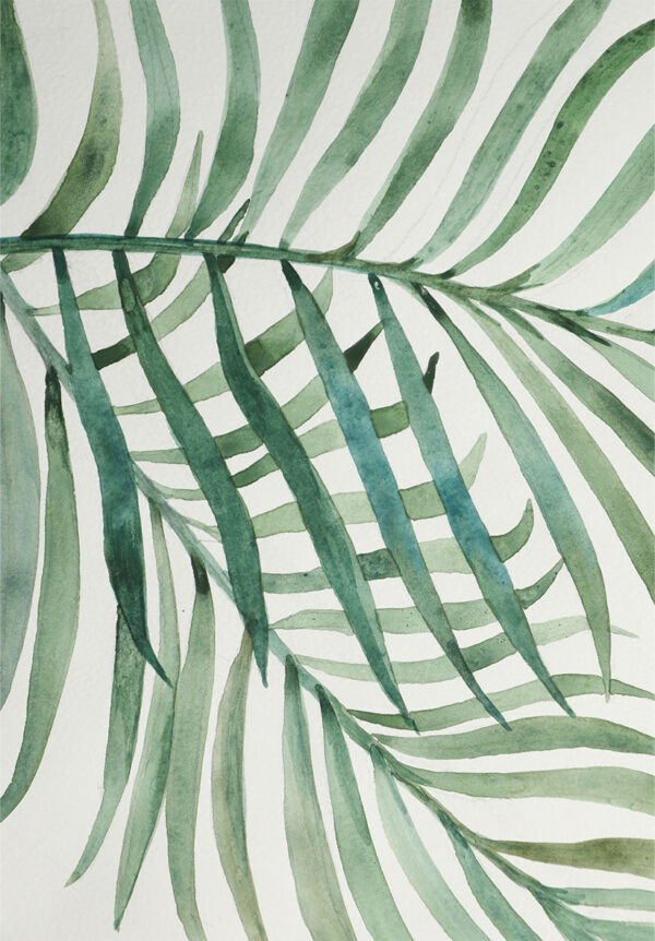 Ilustración acuarela de hoja tropical
