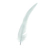 Pluma blanca elegante sobre fondo blanco minimalista.
