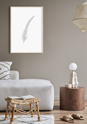 Pluma blanca elegante sobre fondo blanco minimalista.