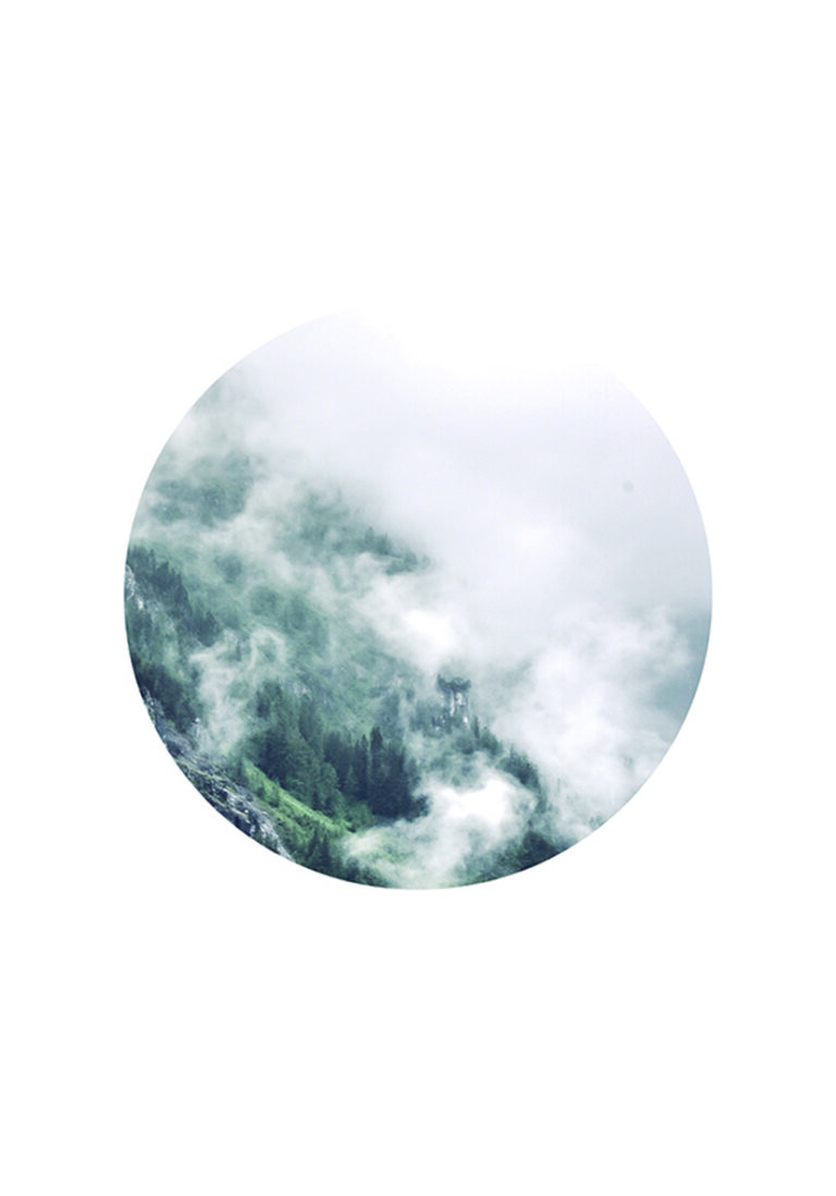 Bosque brumoso dentro de un diseño circular minimalista.