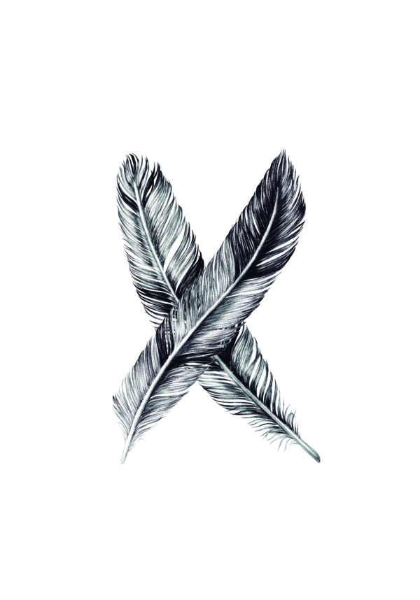 Dibujo artístico detallado de plumas cruzadas.