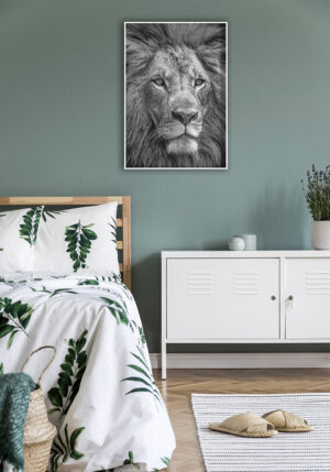 Retrato en blanco y negro de un león majestuoso.