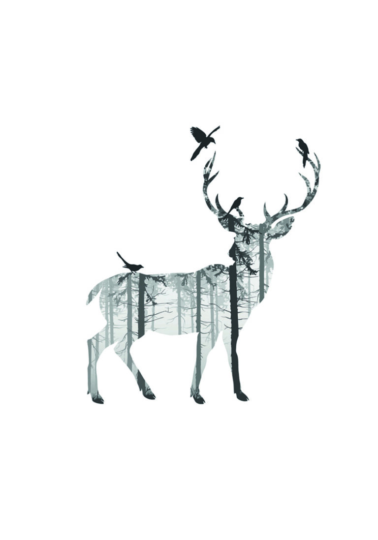 Ilustración elegante de un ciervo en el bosque.