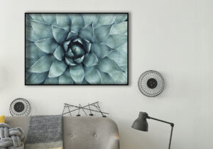 Arte abstracto en primer plano de una planta de agave.