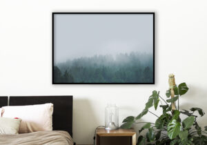 Bosque sereno envuelto en la niebla de la mañana.