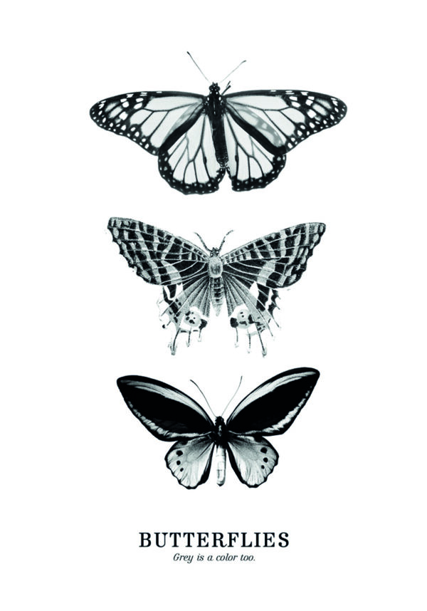 Ilustración monocromática de tres mariposas.