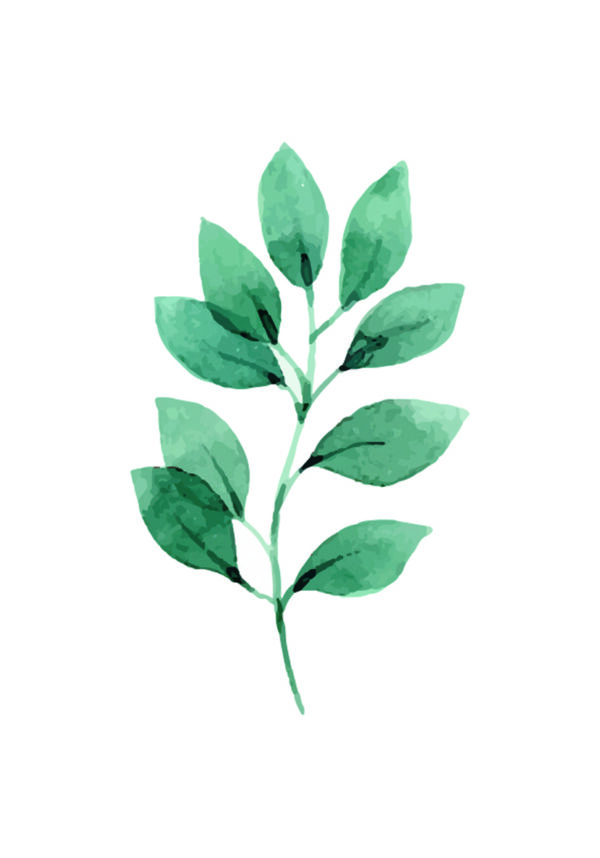 Ilustración artística de hoja verde en acuarela.