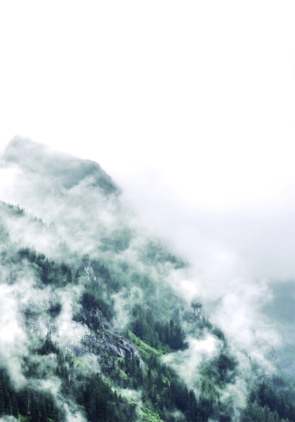 Paisaje montañoso y boscoso cubierto de niebla.