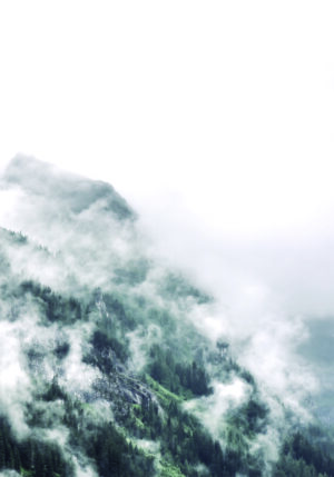 Paisaje montañoso y boscoso cubierto de niebla.