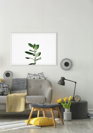 Planta verde elegante sobre fondo blanco.