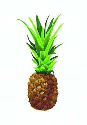 Ilustración realista de una piña para un diseño fresco.