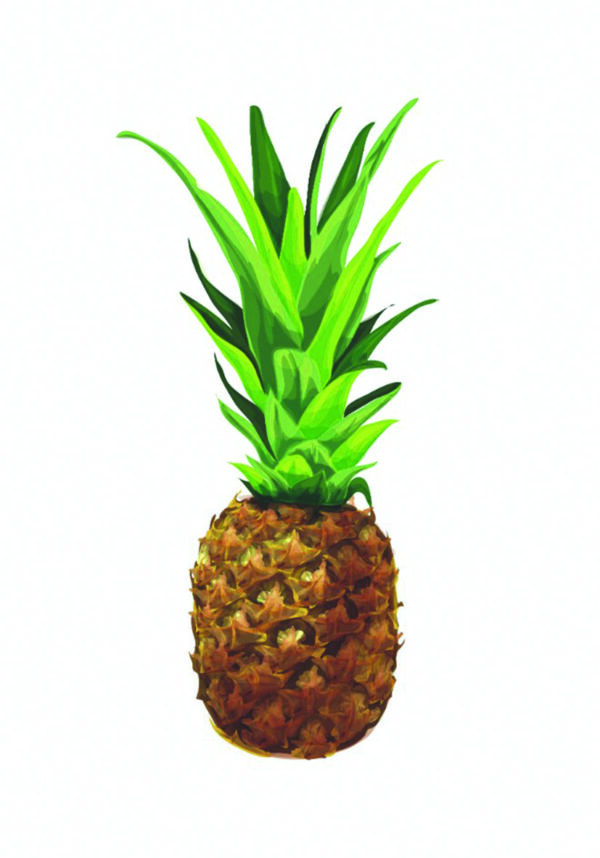 Ilustración realista de una piña para un diseño fresco.