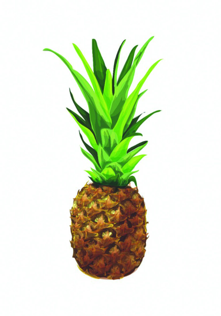Ilustración realista de una piña para un diseño fresco.