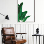 Hojas de Plátano Tropicales: Arte Botánico para Ambientes Exóticos