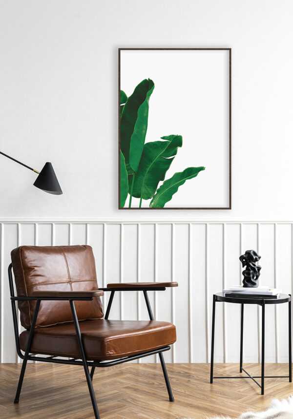 Hojas de Plátano Tropicales: Arte Botánico para Ambientes Exóticos