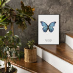 Mariposa Morpho Azul: Arte Minimalista en Blanco y Negro
