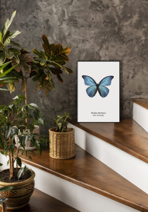 Mariposa Morpho Azul: Arte Minimalista en Blanco y Negro
