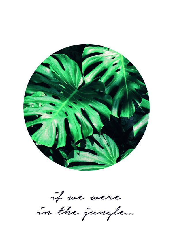 Diseño minimalista de hoja tropical de monstera